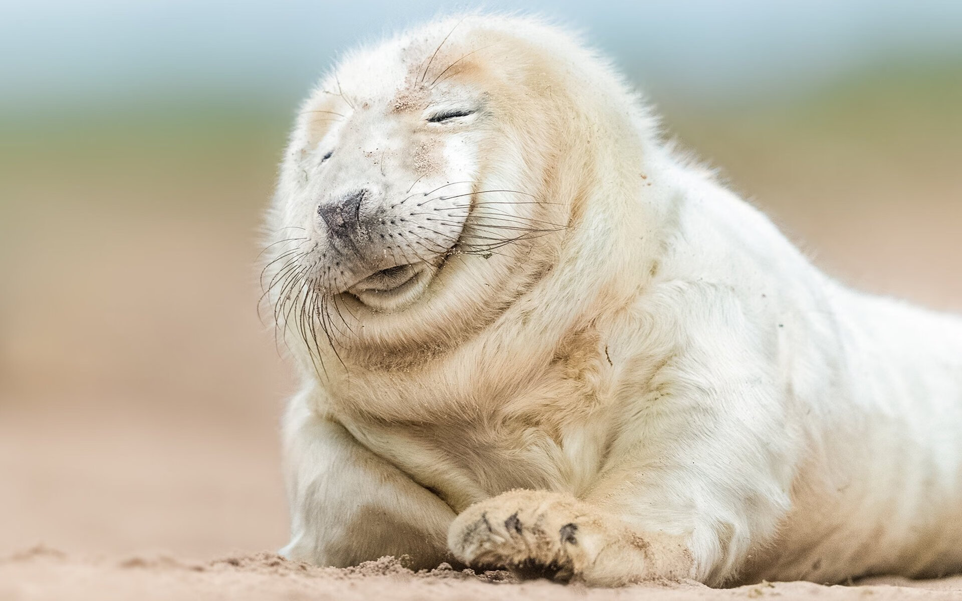 乒乓球赛制新规逐步实施，选手反应不一，乒乓球赛赛制