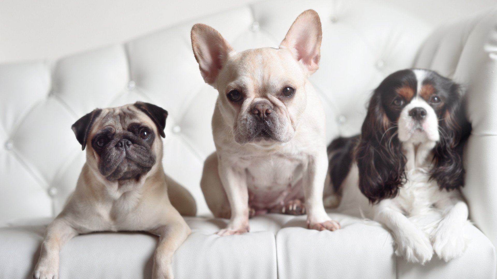 开云体育官网app-印度队在2024年世界杯中的表现：用实力证明自己，印度参加世界杯