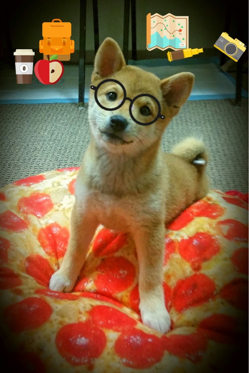 接力排兵布阵见策略，临场调整灵活，接力员是什么兵种