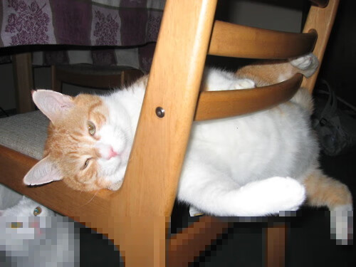 世界杯冠军之争：战术与个人能力双双发威！，世界杯冠军内定