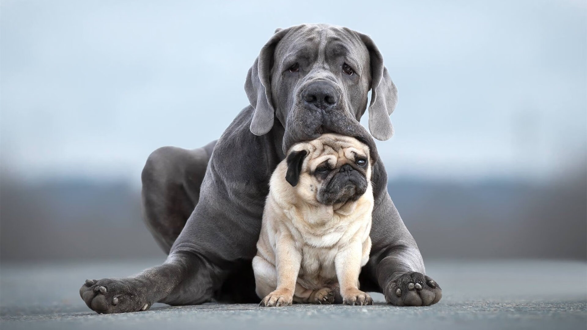 团队配合紧密,战术变化灵活,团队配合紧密,战术变化灵活怎么形容