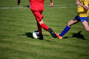 开云注册入口-LPL多个队伍重组计划曝光转会期极度混乱，lpl战队转会期